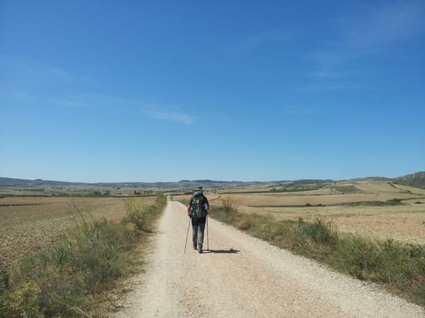05. Estella → Torres del Río