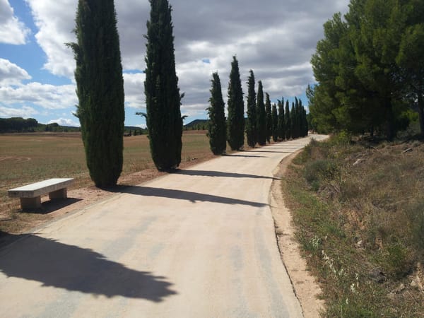 06. Torres del Río → Navarrete