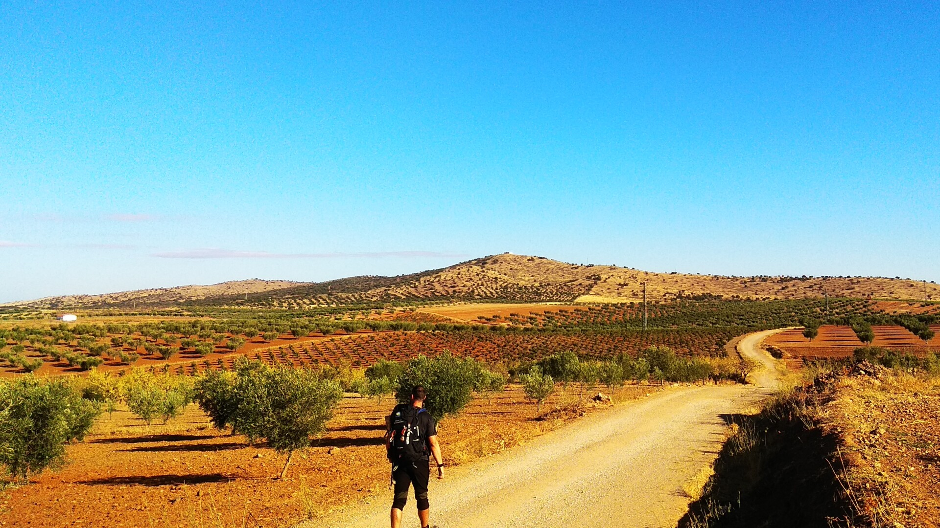 08. Zafra → Villafranca de los Barros