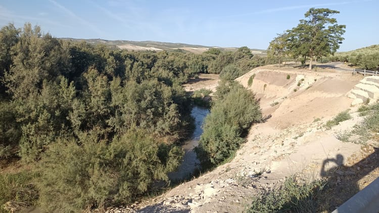 16. Baena → Castro del Rio