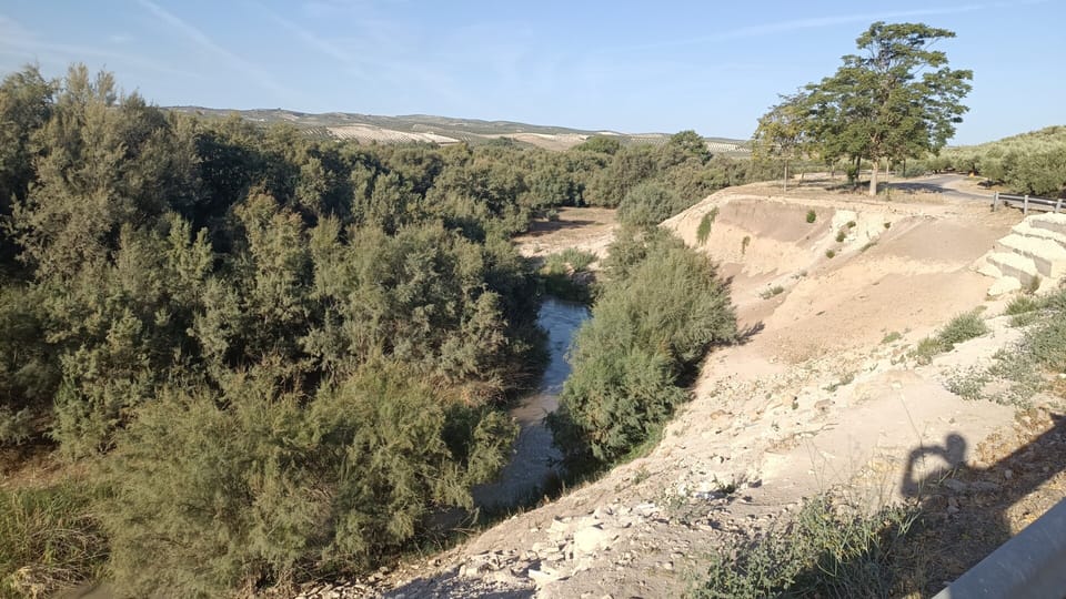 16. Baena → Castro del Rio